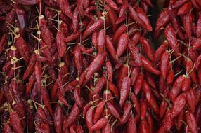 red hot peppers