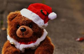 Christmas Greeting, cute teddy bear