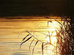 Water Lens Flare Sun