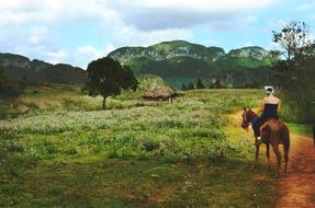 Cottage Countryside Fields