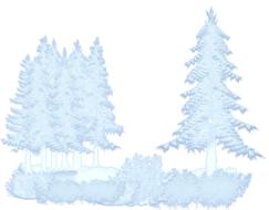 winter snow trees forest