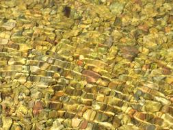 Underwater Stones Crystalline