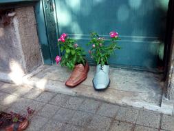 flowers in shoes at the entrance to the house in Debrecen, Hungary