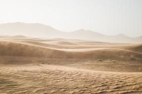 landscape of brown Desert of Sand Dunes