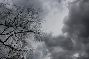 Clouds Tree Dark