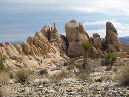 Desert Rock Formations