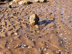Rock Sand Beach