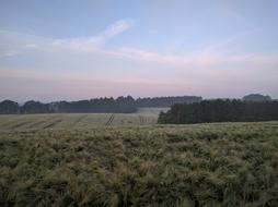 Countryside Farm Farmland