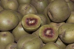 kiwi fruit sweet