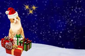clipart of Christmas card with a cute cat on a snow
