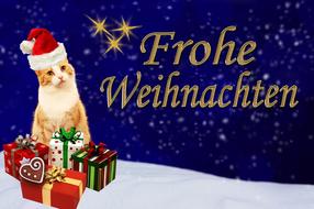 christmas card cat drawing
