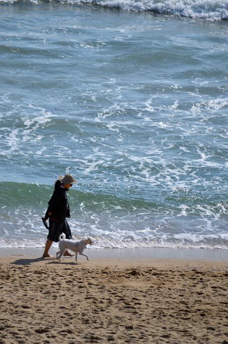 a man walks on the beach by the sea