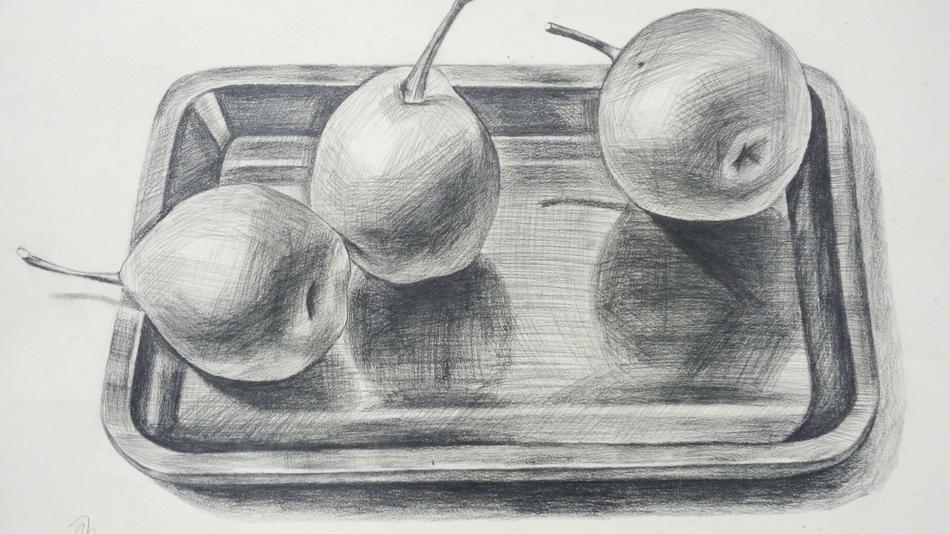sketching fruit on a sheet of paper