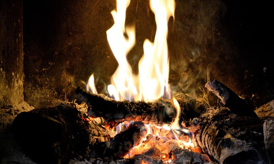 bright firewood in the fireplace