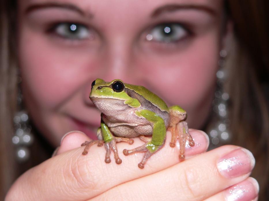 Frog Green and Girl