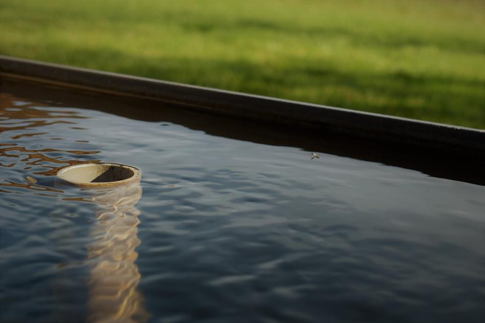 Pond Plug Water
