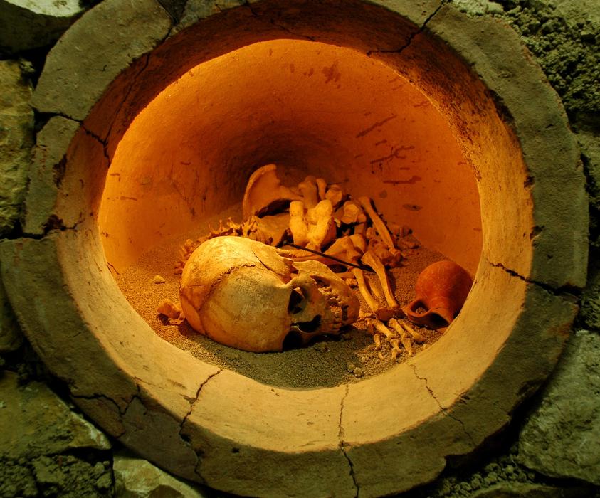 bones in the big tube