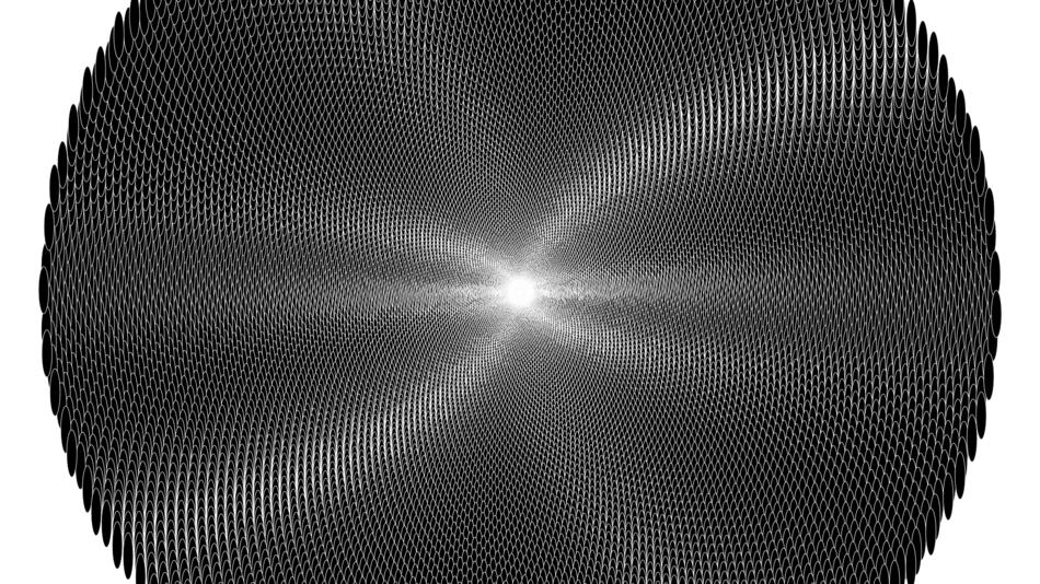 sunflower flower silver fractal bw