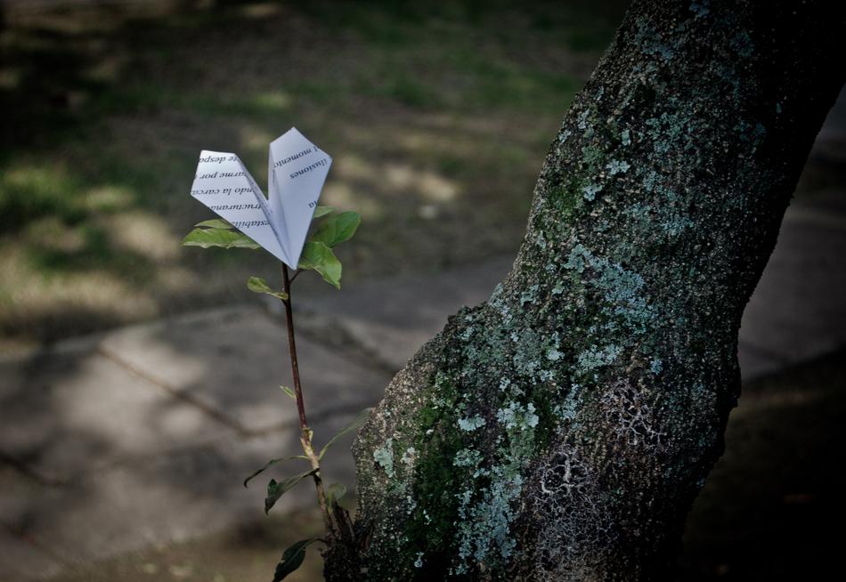 Aircraft Paper Tree