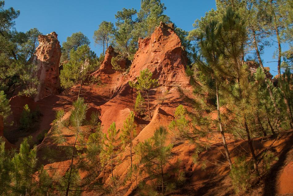 red big rocks in the trees