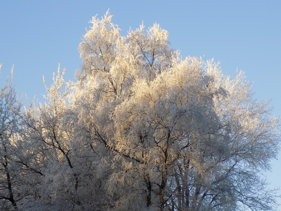 Frost Cold Frozen