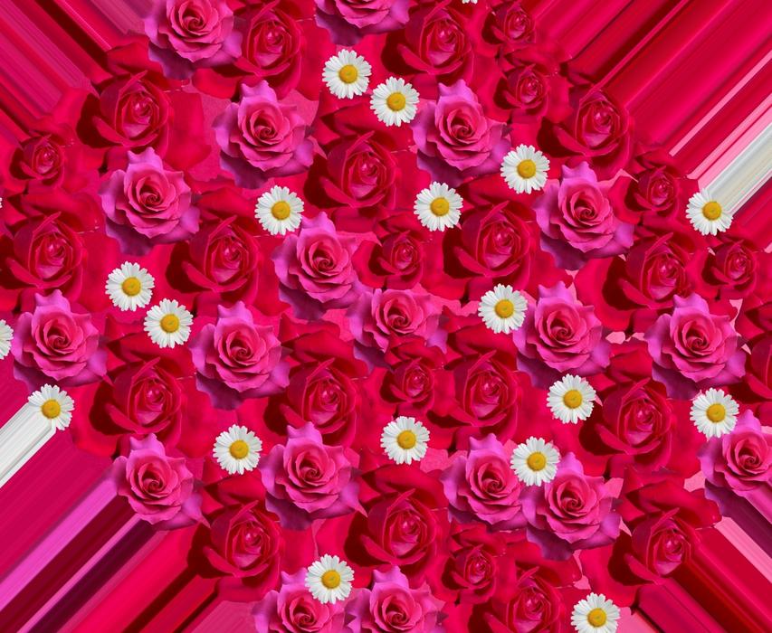 a large bouquet of flowers on a pink background