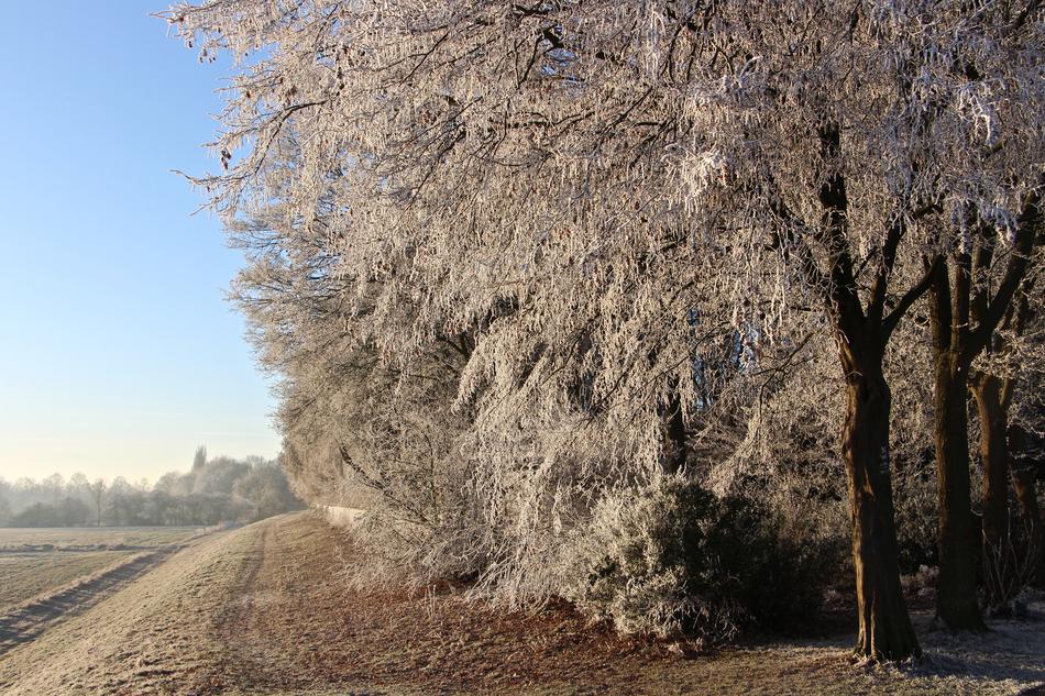 Landscape Nature Winter