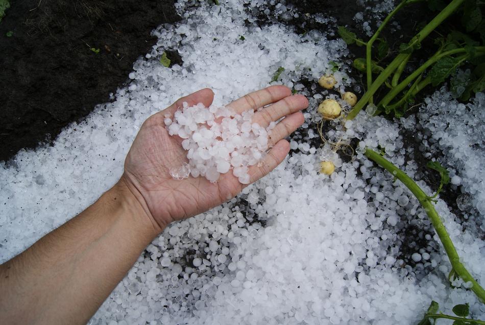 cold hail on hand and ground
