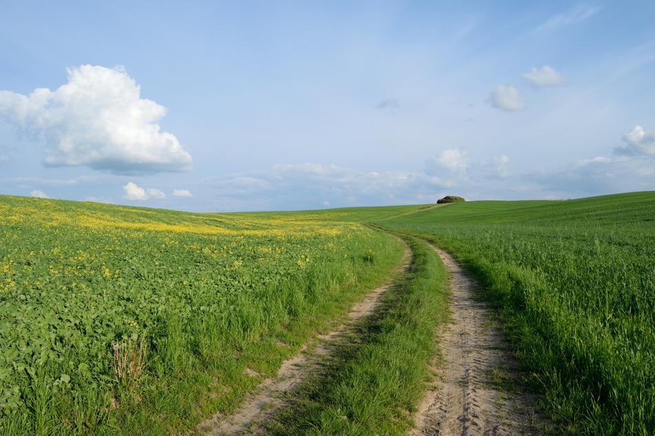 Field Road Agriculture The