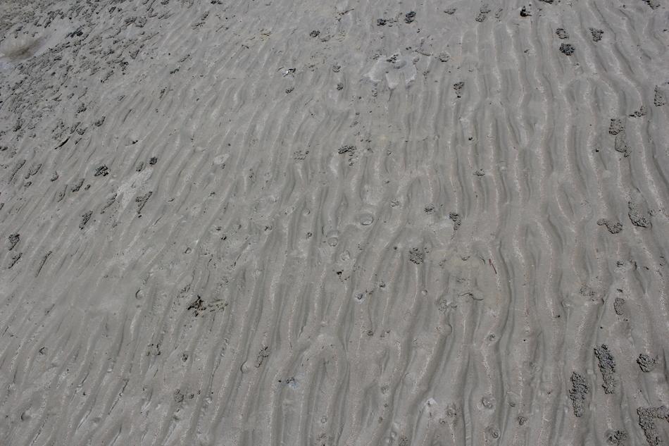 Sand Sea shore