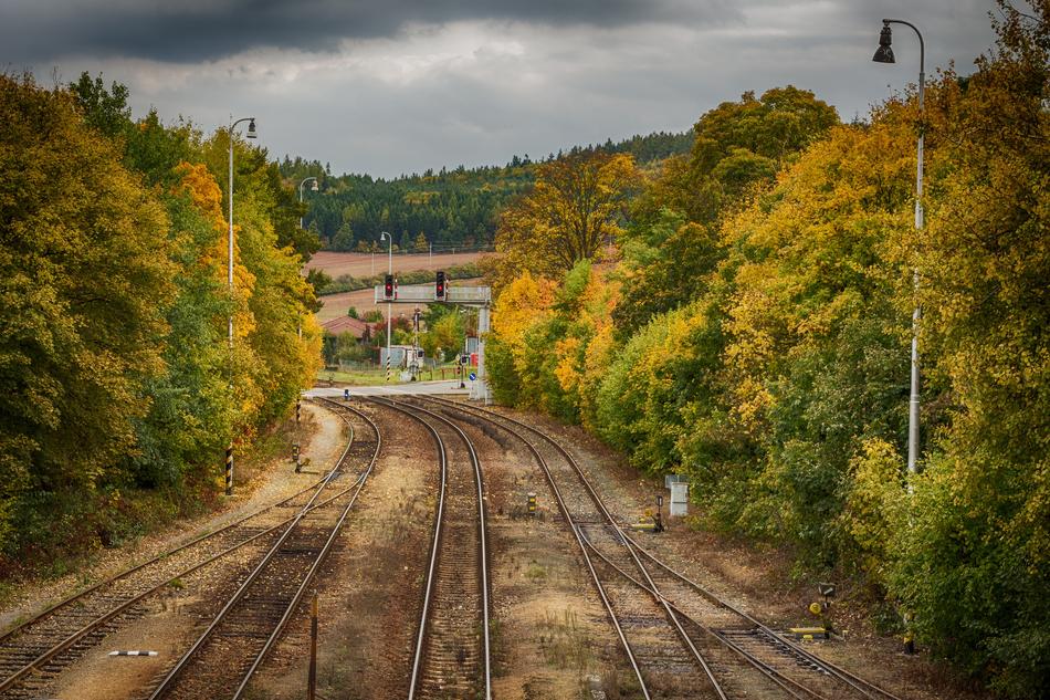 railroad through the woods