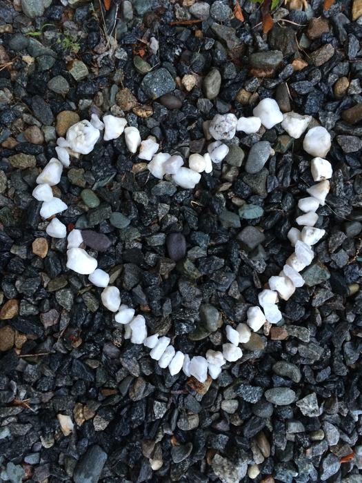a heart of white rocks on the beach
