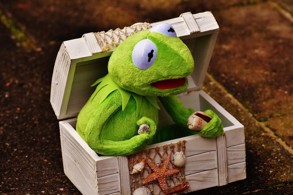 Kermit Frog in Chest