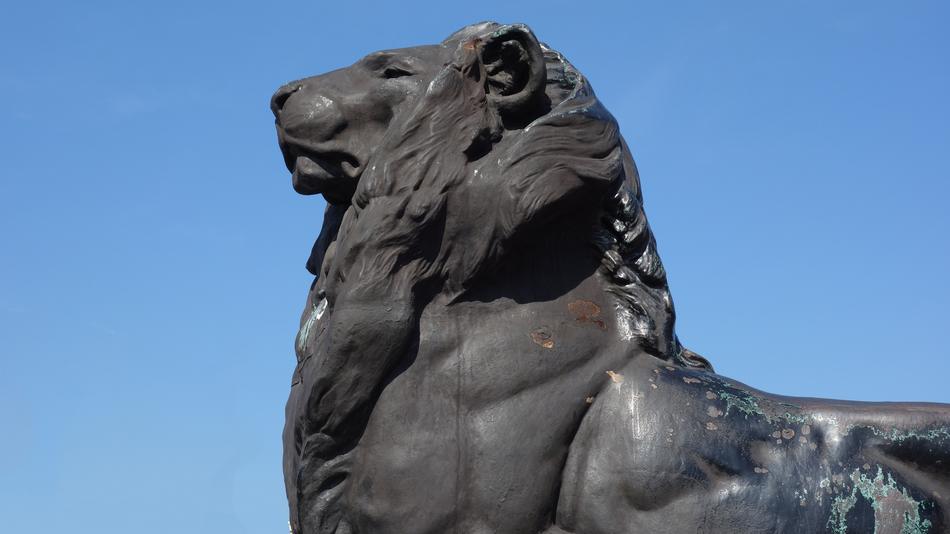 Sculpture beautiful Lion