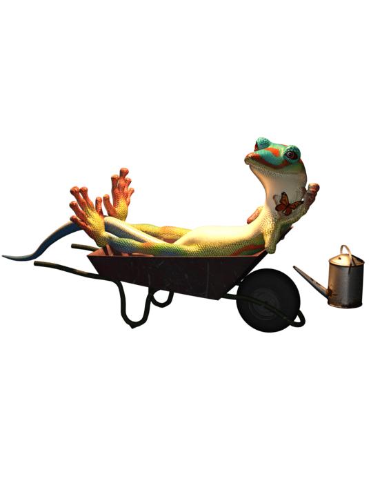 funny lazy lizard rests on wheelbarrow