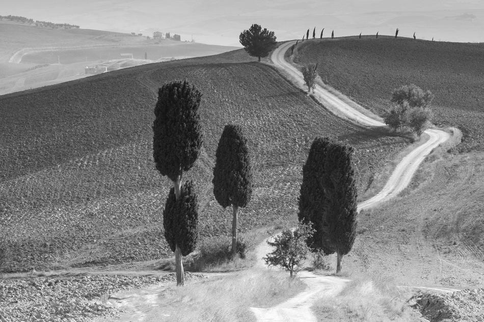 Tuscany Italy Landscape