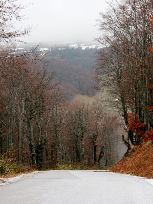 Fog Mountain Autumn