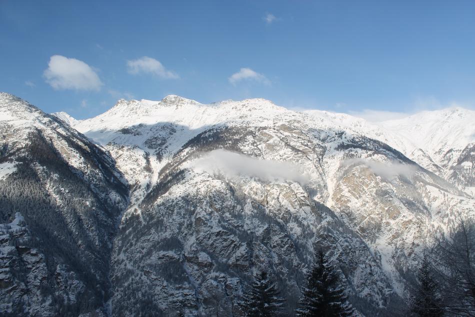 Mountains Firs Alpine