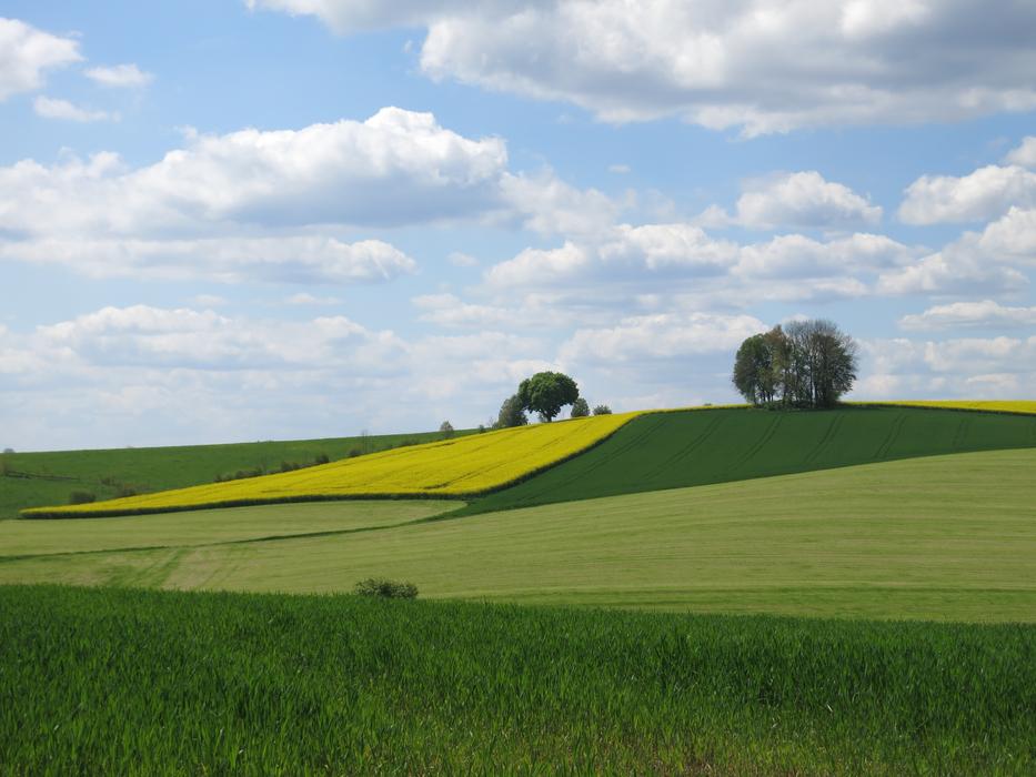 Fields in cloudy weather