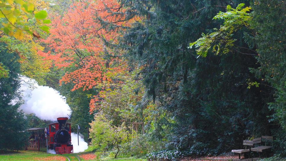 Autumn Steam Locomotive Railway