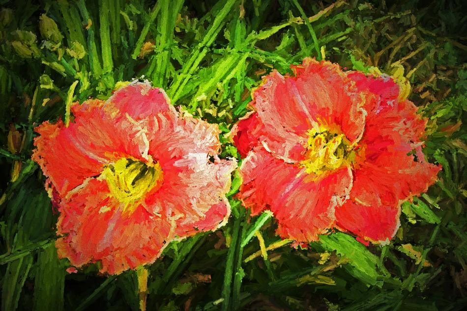 lilies flower art photopainting