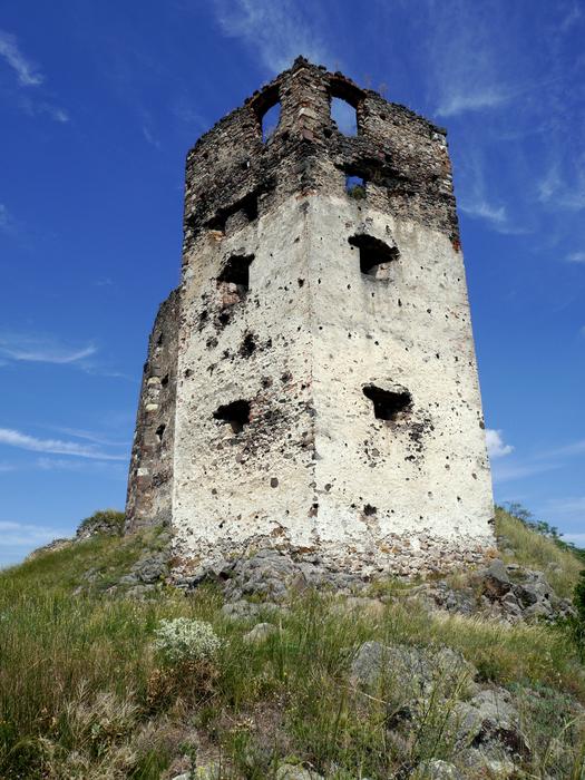 The old tower on the green meadow