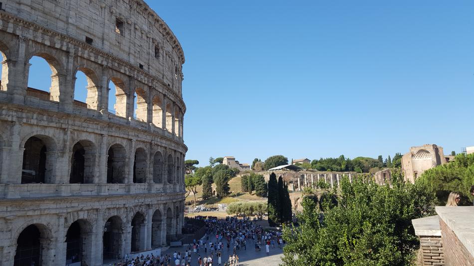 Roman Colosseum on a background of green trees