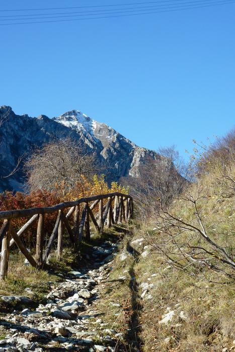 Picket Fence at Autumn mountains