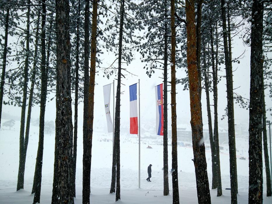 snowy Mountain Trees in Zlatibor