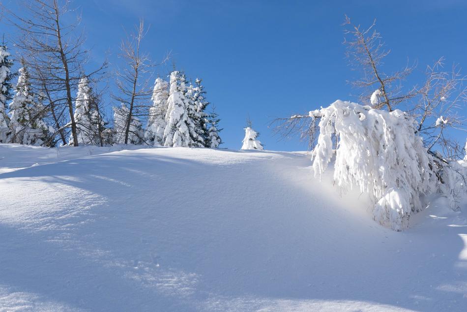 Wintry Snow Christmas