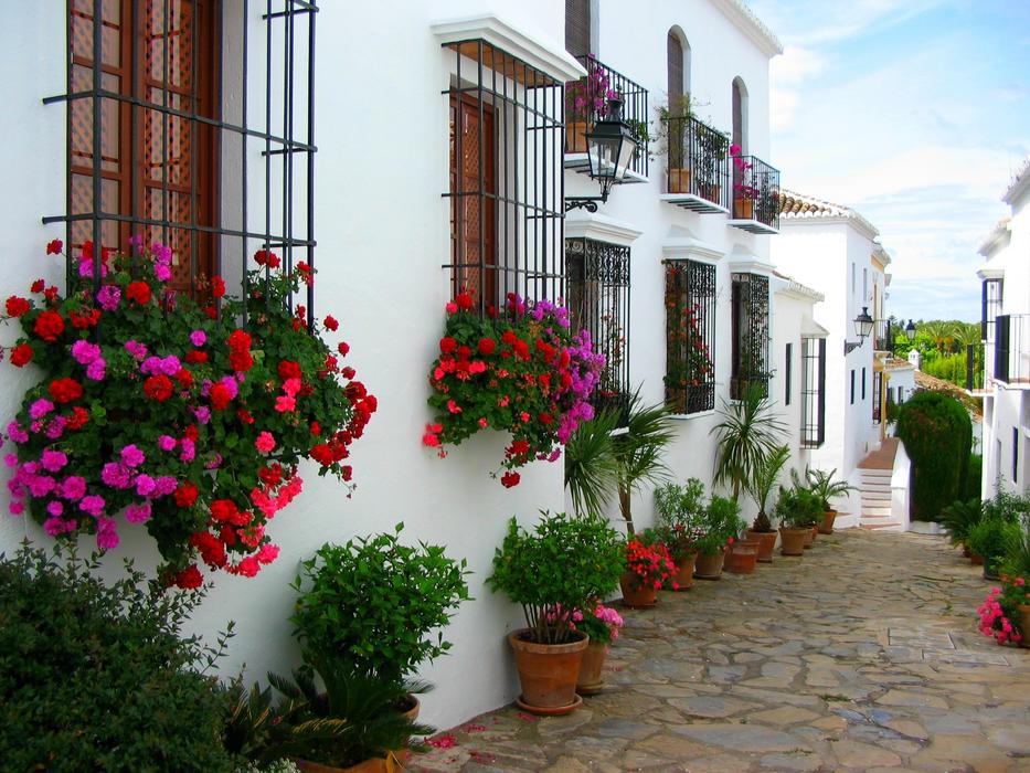 wonderful flowers in the facades in Marbella