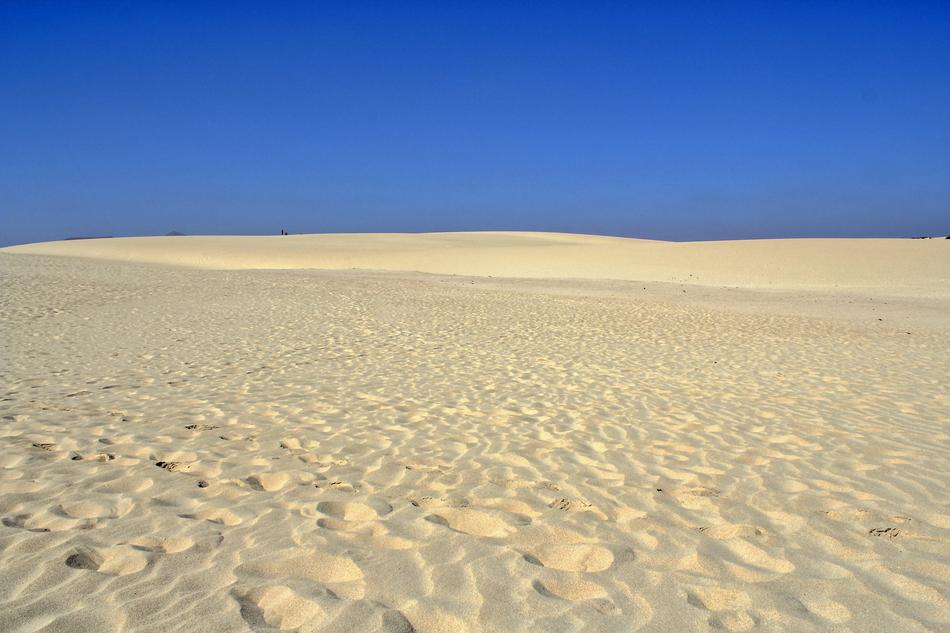 Sand Dunes in summer