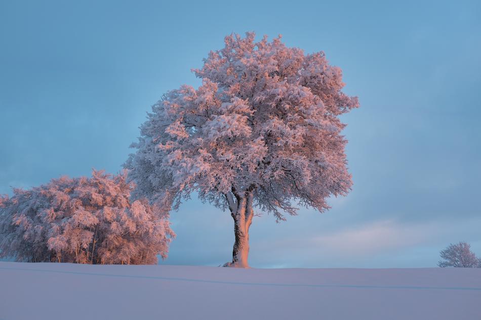 Landscape Nature Sky