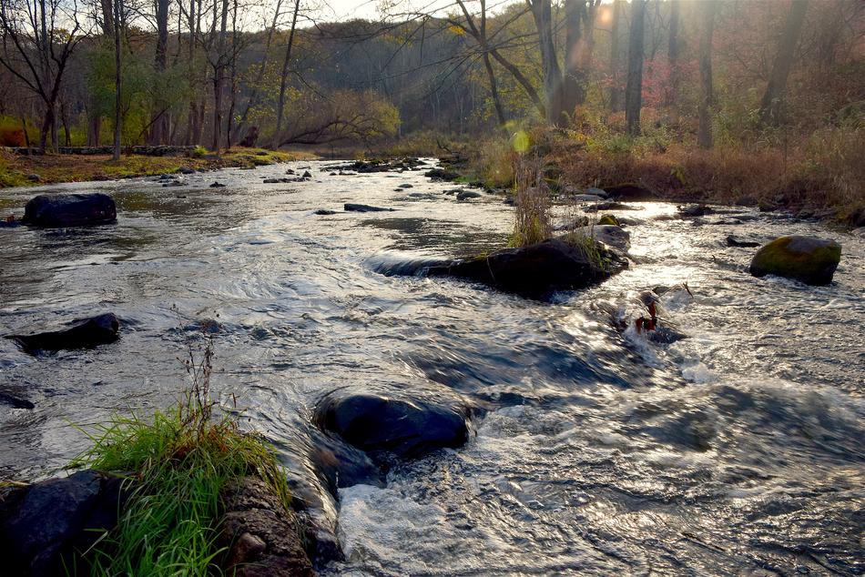 Stream Rocks Water